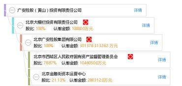 廣安控股黃山投資有限責(zé)任公司 戰(zhàn)略投資與控股布局解析